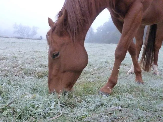 Σπίτι διακοπών Mb Ranch