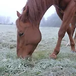 펜션 Mb Ranch