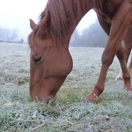 Дом отдыха Mb Ranch